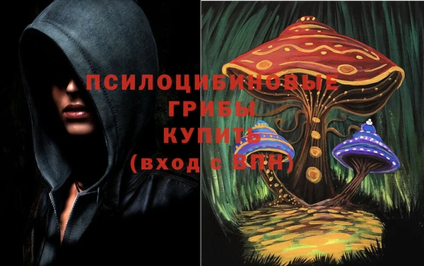прущий лед Алексин