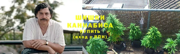 2c-b Алзамай